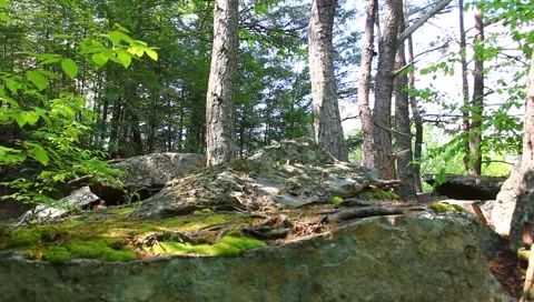 Senic view of gorge Stock Footage 4888188