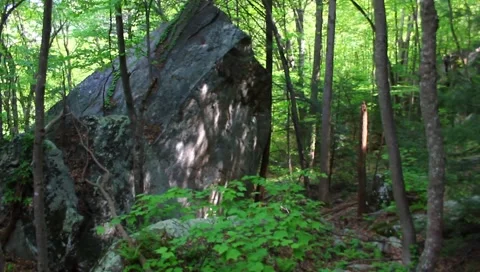 Senic view of the woods Stock Footage 4886484