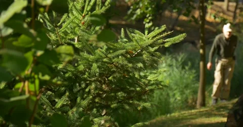 Senior Aged Man With Beard is Walking by Green Slope Man is Approaching Meadow Stock Footage 55546869