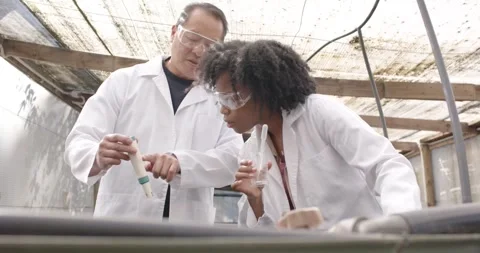 Senior Asian man bringing probe tip, African woman holding beaker in labcoats at Stock Footage 338357086