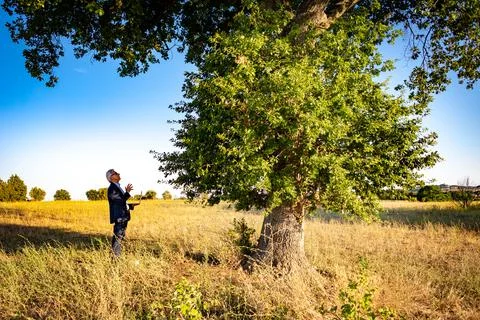 Senior botanist talking with the magic tree at sunset #02 Stock Photos