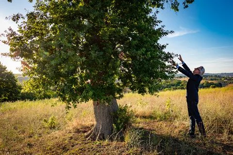 Senior botanist talking with the magic tree at sunset #04 Stock Photos