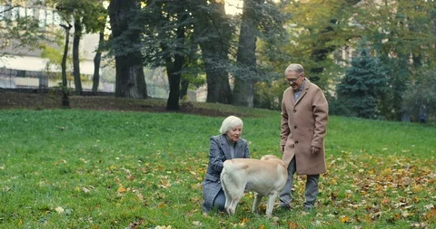 Senior Caucasian grey haired man and woman spending time together in the park Stock Footage 101014989