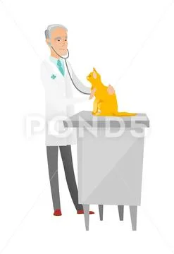 Senior caucasian veterinarian examining cat. Stock Illustration