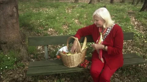 Senior couple on a bench in the forest Stock Footage 11292936