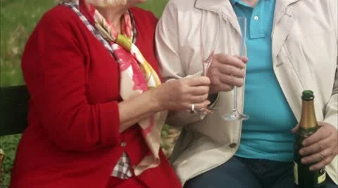 Senior couple on a bench in the forest Stock Footage 11292937