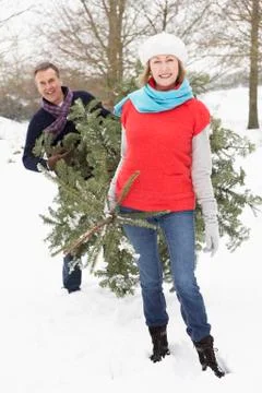 Senior Couple Carrying Christmas Tree In Snowy Landscape Stock Photos