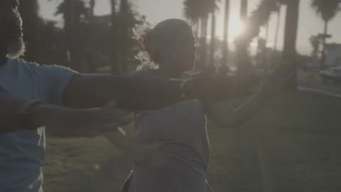 Senior Couple Does Warrior Two Yoga Pose Together in a Beautiful Park Stock Footage 218629246