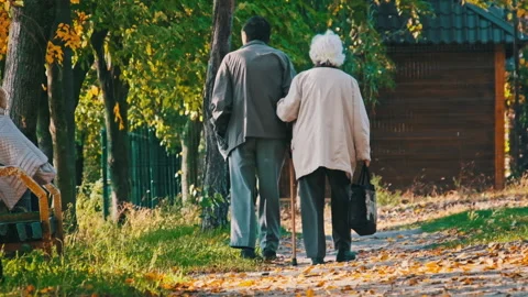 Senior Couple Holding Hands While Walking Together in Autumn Park, Slow Motion Stock Footage 217982219