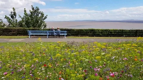 Senior Couple Sitting on the Bench Overlooking the Sea Stock Footage 77918791