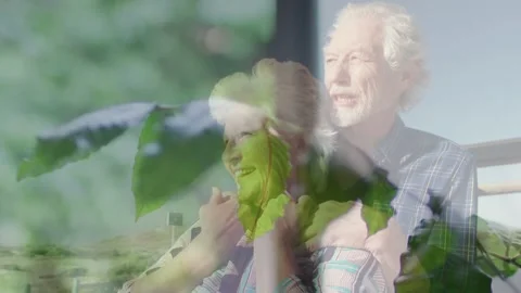 Senior couple sitting, sunlight drawing gaze as leaf drifting across faces, Stock Footage 333300842