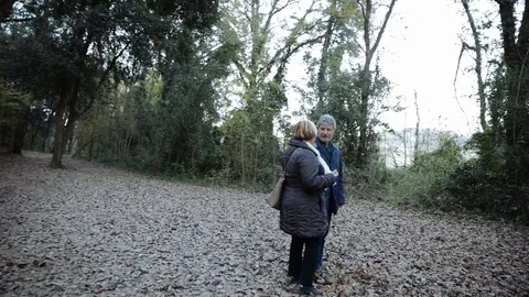 Senior couple talking in the middle of the forest Stock Footage 101740023