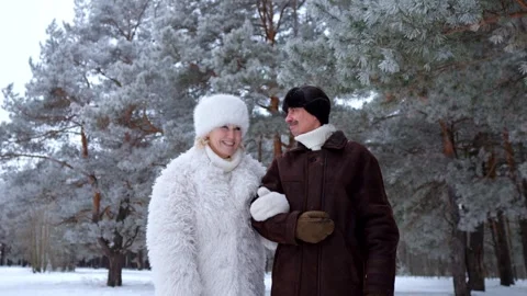 Senior couple walking and talking in a winter snowy forest Stock Footage 330108681