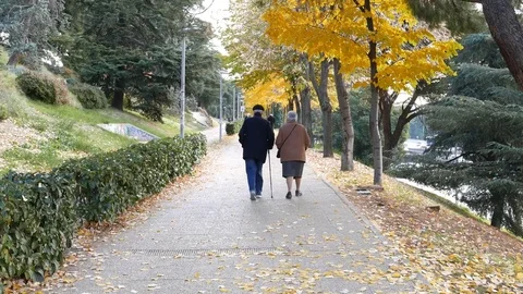 Senior Couple Walking Outside on a Fall Day Stock Footage 83198157