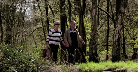 Senior couple walking in spring wood Stock Footage 51452089