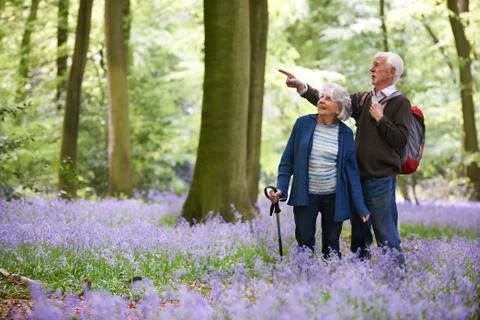 Senior Couple Walking Through Bluebell Wood Stock Photos
