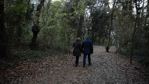 Senior couple walking through the forest Stock Footage 101740009