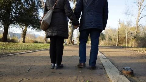 Senior couple walking through the park Stock Footage 101906652