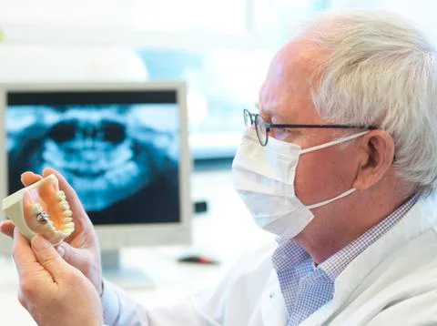 Senior dentist Stock Photos