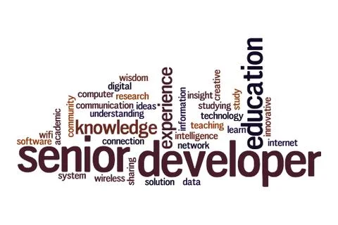 Senior developer word cloud concept 스톡 일러스트