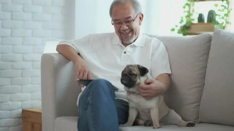 Senior elder man  using digital tablet computer modern tech relax on sofa wit Stock Footage 153246002