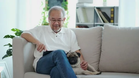 Senior elder man  using digital tablet computer modern tech relax on sofa wit Stock Footage 153279398