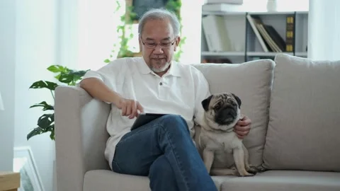 Senior elder man  using digital tablet computer modern tech relax on sofa wit Stock Footage 153354150