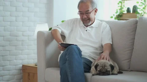 Senior elder man  using digital tablet computer modern tech relax on sofa wit Stock Footage 153444114