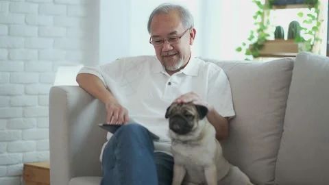 Senior elder man  using digital tablet computer modern tech relax on sofa wit Stock Footage 153447062