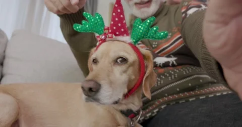Senior elderly couple having video call over mobile phone celebrating Christmas Video stock 163942324