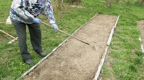 Senior elderly man ploughs plows vegetable garden Video stock 62656648