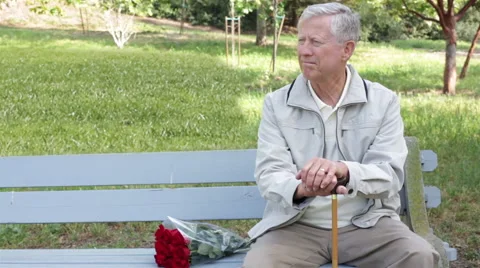 Senior Elderly Man Sitting Alone in Park with Roses Stock Footage 48343084