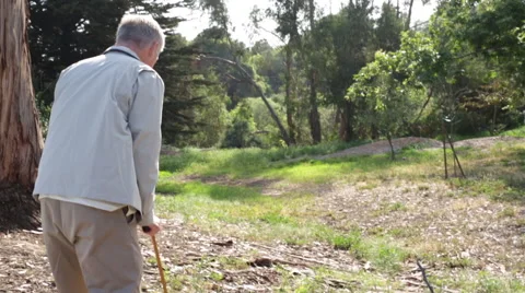 Senior Elderly Man Stands up from Bench and Walks with a Cane in Park Stock Footage 48343579
