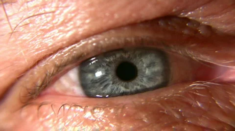Senior eye macro Stock Footage 295868