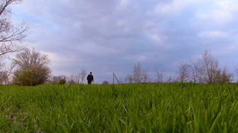 Senior farmer checking wheat before spring rain Stock Footage 49541440