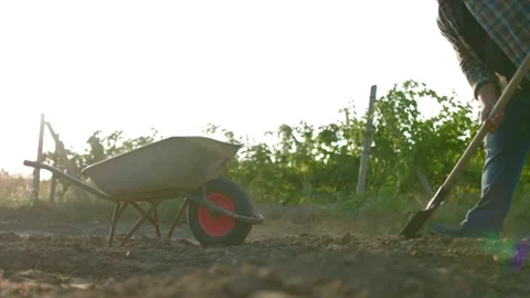 Senior Farmer Loading Soil into Wheelbarrow in Rural Field Stock Footage 282741259
