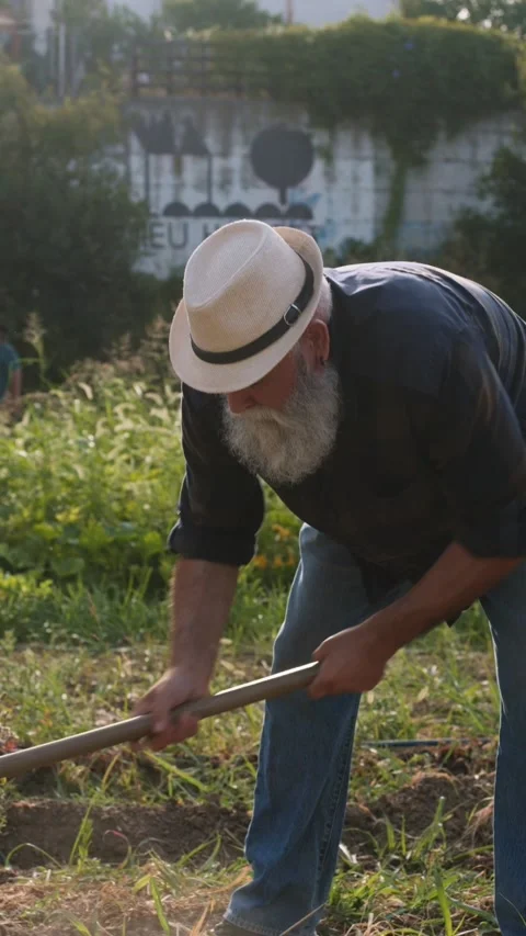 Senior farmer with long beard working in a garden with a hoe Stock Footage 343444479