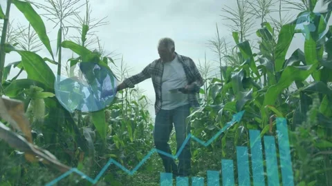 Senior farmer walking row, checking tablet while causing data overlays Stock Footage 332821887