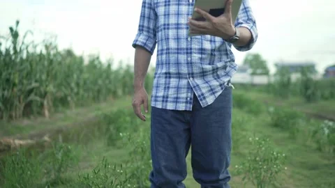 Senior Farmers men work with a tablet look at the camera. 動画素材 165805860