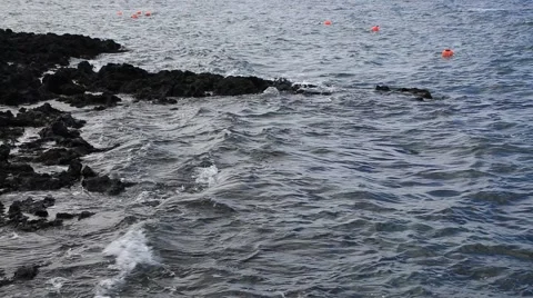Senior female diver diving for seafood on the ocean floor Stock Footage 59129891