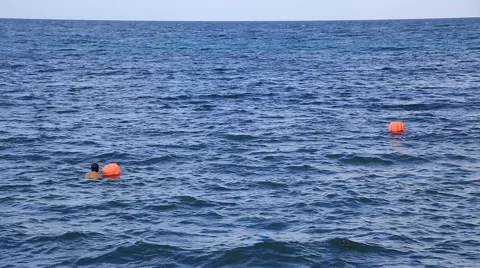Senior female divers diving for seafood on the ocean floor Stock Footage 59129716