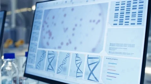 Senior Female Scientist Works On Computer in a Modern Laboratory.  Stock Footage