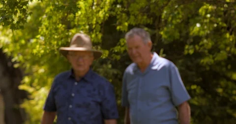 Senior friends walking. Stock Footage 88368676