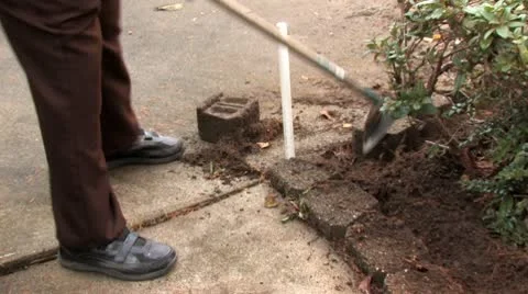 A Senior Gardening 9 Stock-Footage 10682072