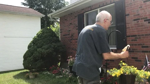 Senior hanging baskets front yard Stock-Footage 91368248