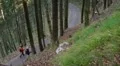 senior hikers forest HD Footage
