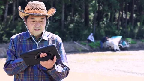 Senior Japanese Farmer Using Tablet in Rice Paddy Field Stock-Footage 344238807