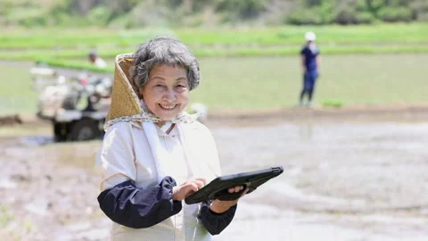 Senior Japanese Farmer Using Tablet in Rice Field Vídeos de archivo 344242325