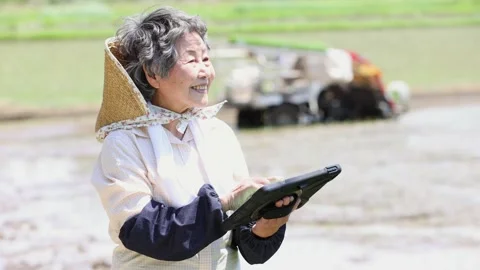 Senior Japanese Farmer Using Tablet in Rice Field Vídeo Stock 344242335