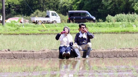 Senior Japanese Farmers Taking a Drink Break in Rice Paddy Field Stock-Footage 344240153